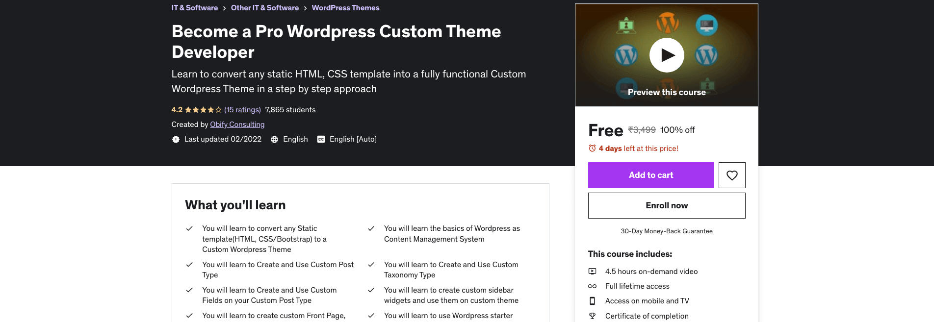 Become a Pro WordPress Custom Theme Developer