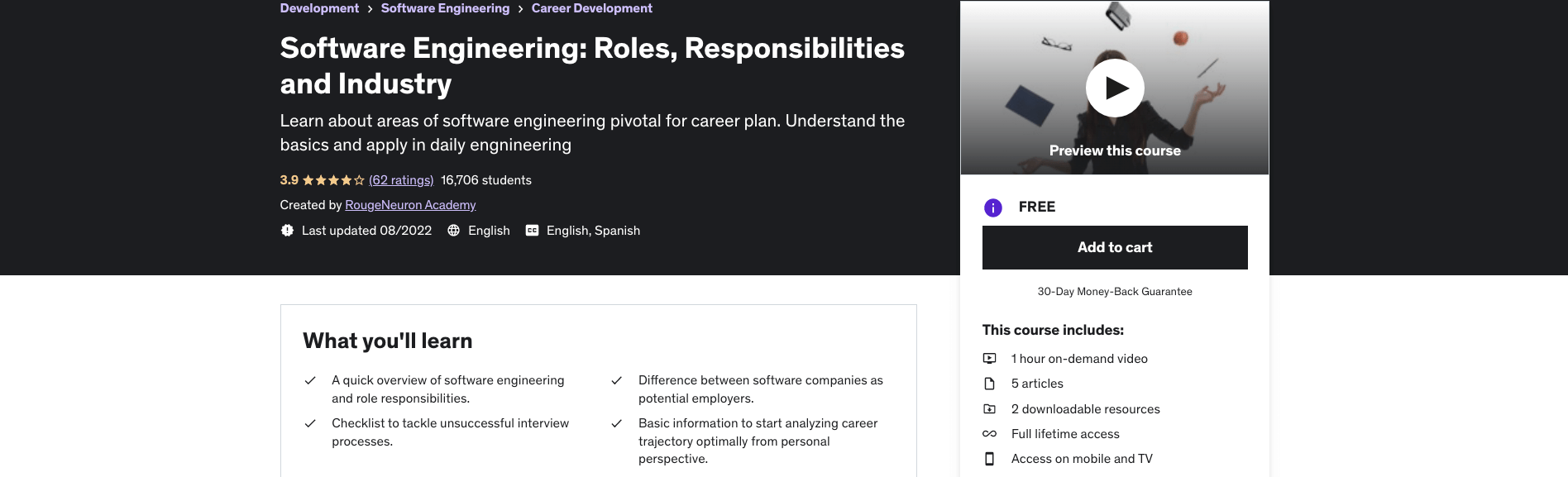 Software Engineering: Roles, Responsibilities and Industry